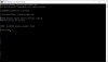 No Display Adapter error.png